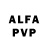 Ecstasy Philipp Plein Araina aly