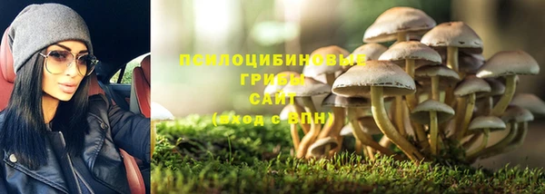 ешки Алзамай