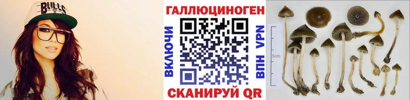 Галлюциногенные грибы прущие грибы  Ликино-Дулёво 