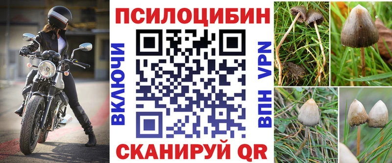 Галлюциногенные грибы прущие грибы Ликино-Дулёво
